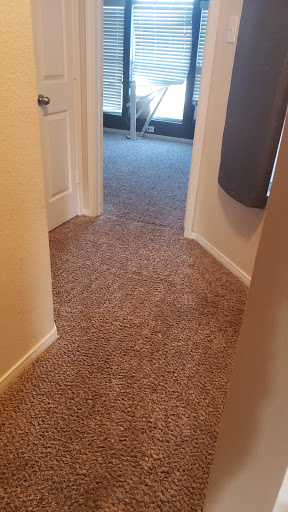 Friendly Carpet - Visual