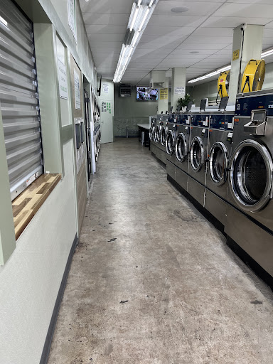 Leaf Laundry - Visual