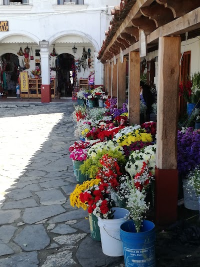 Photos of Posada Ammi