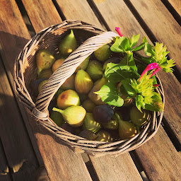 Photo n°45 de La maison du Figuier - Chambres d'hôtes à Lancié (Chambre d'hôtes)