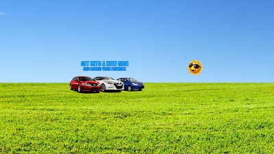 Photos of The All New Nissan of Venice