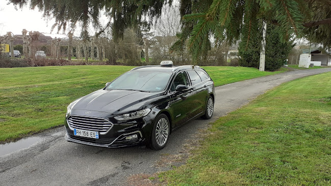 Opinii despre TAXI SERGE în Pau - Service de taxi