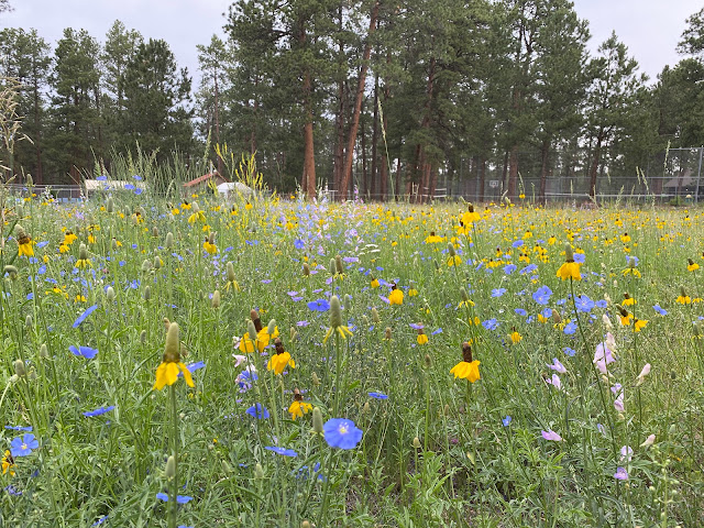 La Foret Conference & Retreat Center by null