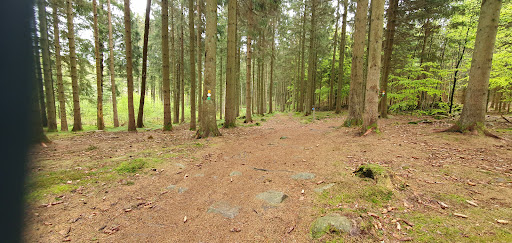 Traneröds mosse, parkering - Thumbnail