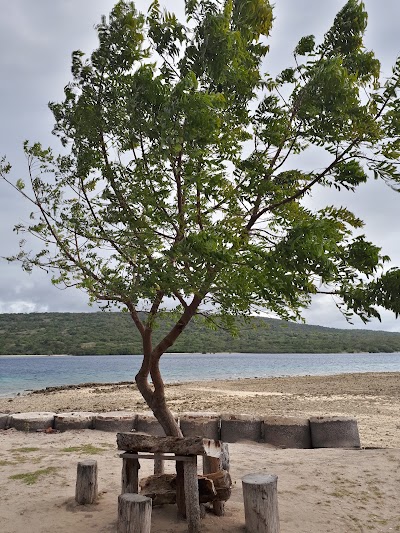 Photos of Pulau Menjangan Taman Nasional Bali Barat (TNBB)