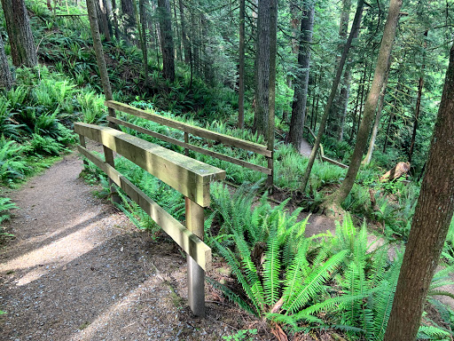 Railway Trail - Thumbnail