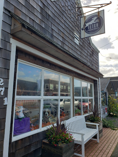 Fetch Cannon Beach