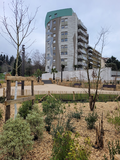 Square d'Étigny Gallery - France