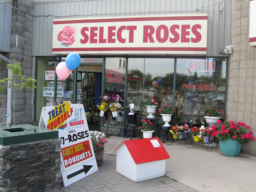 Select Roses - Visual