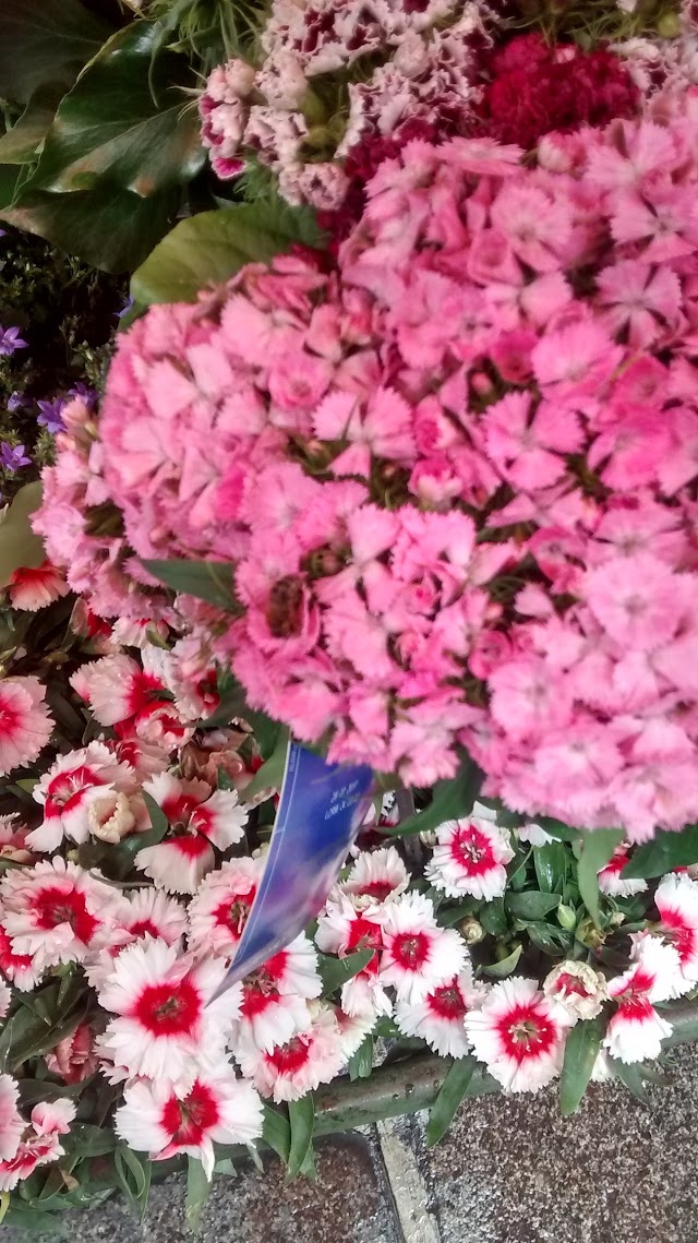 LES FLEURS DE GEORGES GAY