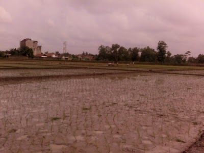 Photos of Bengkel Aping