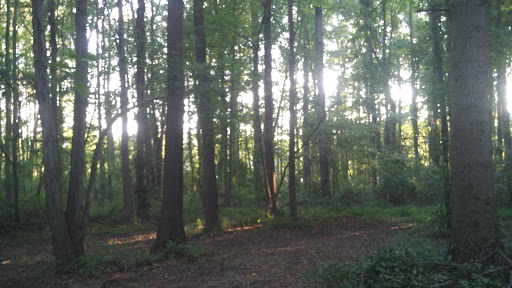 Lums Pond Area 4 - Thumbnail