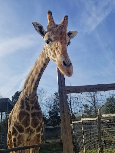 Harmony Park Safari