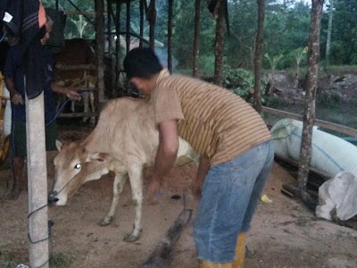 Photos of Lapakkameraku Toko Kamera