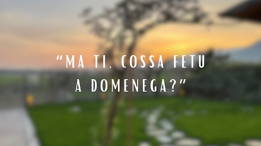 DAI COMPARI - Visual
