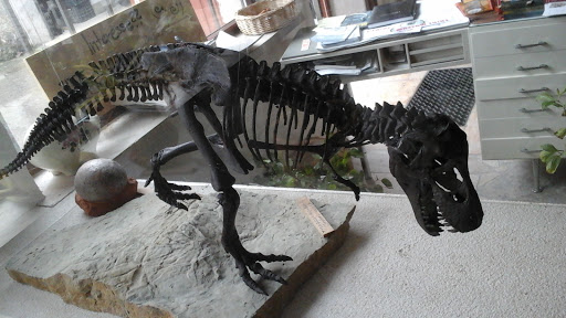Triasmuseum an der Ochsenfurt