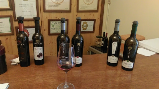 Vicari Vini - Visual