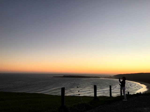 Curio Bay