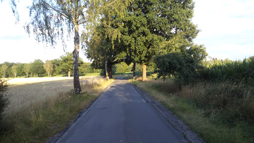 Im Angeltal - Wanderweg X3 in Sendenhorst - Thumbnail
