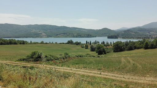 Bosco del Turlaccio - Thumbnail