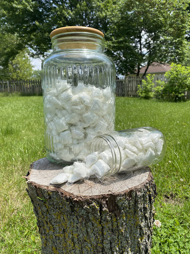 The Greener Home - Thumbnail