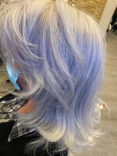 Ellis Salon - Thumbnail