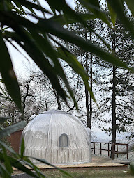 Photo n°6 de chambres bulles dodo lodge à Oytier-Saint-Oblas (Chambre d'hôtes)