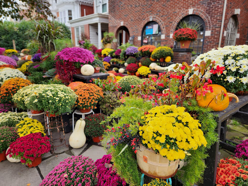 Johnny B's Flowers