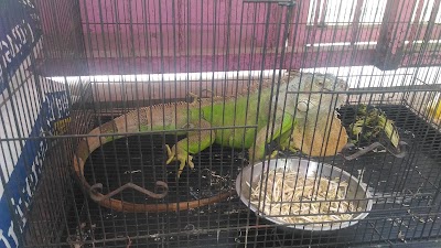 Photos of Meong Pet Shop
