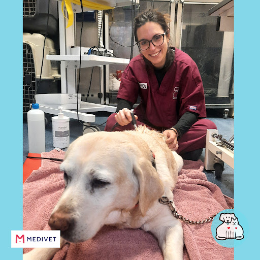 Medivet 24 Horas Vic