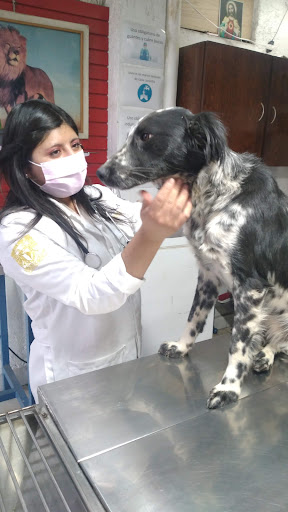 Veterinaria Liberato