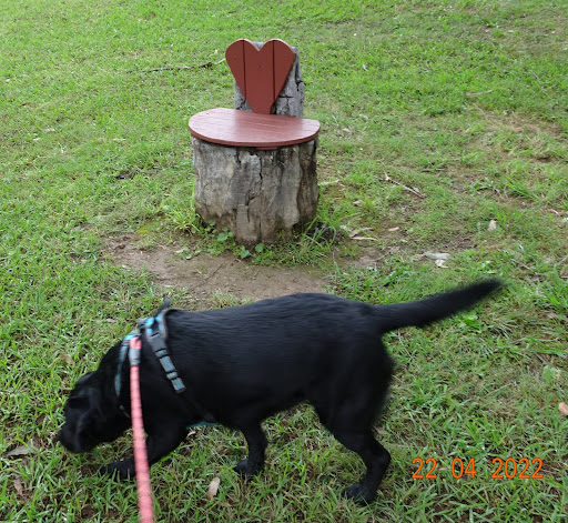 Three Heart Bench - Thumbnail