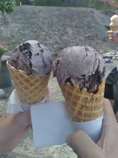 G's Homemade Ice Cream Gallery - United States