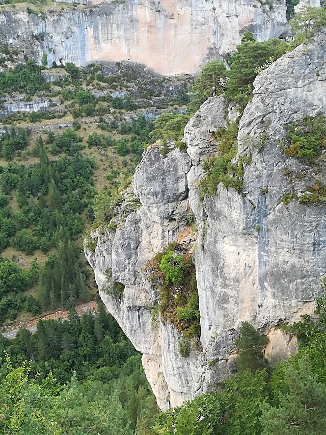 la Grotte de Dargilan