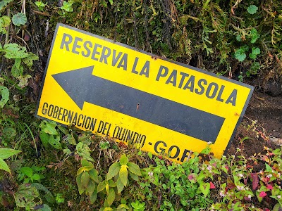 Photos of Reserva Natural La PataSola