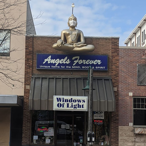 Angels Forever - Windows of Light