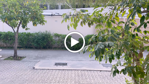 site_photo1
