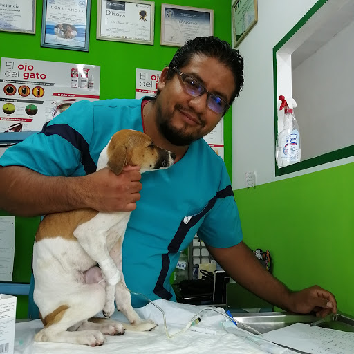 Consultorio veterinario Moshytas pets