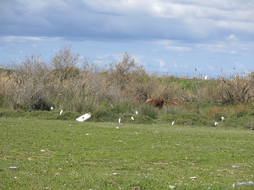 נחל תנינים - Taninim Nature Reserve, Author: ron yona