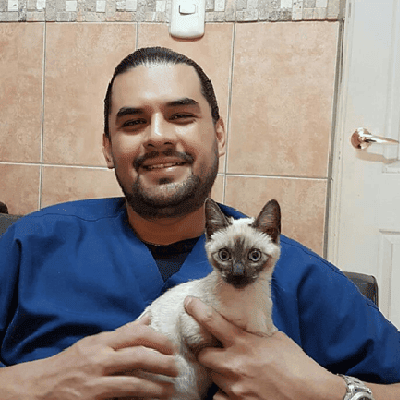 veterinary-care
