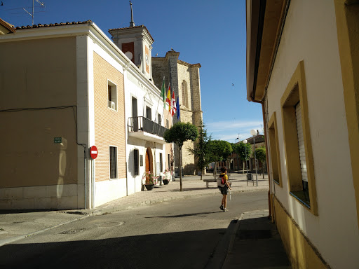 Bar Adis - Thumbnail