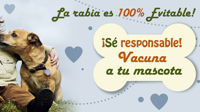 Photos of Animals Veterinary Clinic Center