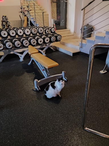 Dolmen Fitness Club - Thumbnail