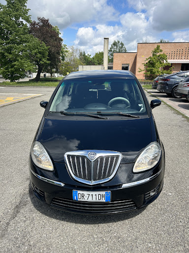LAYL 4 CAR - Visual