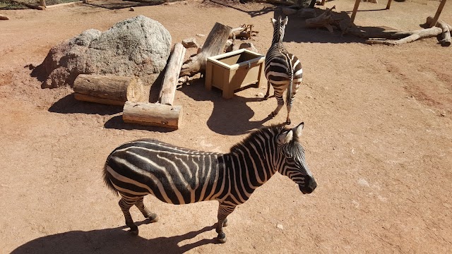 Cheyenne Mountain Zoo