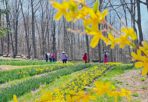 Halfinger Farms - Thumbnail