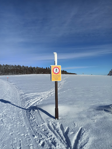 Schornhecke - Thumbnail