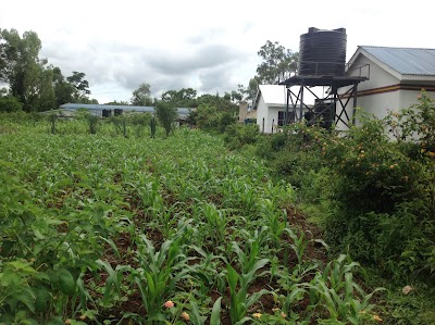 Photos of Siala Kaduol