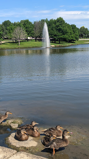 Town Center Nature Park North Pond - Thumbnail