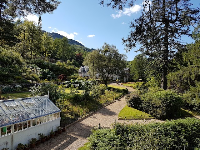 The Lodge
